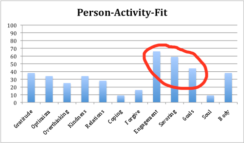 Students' results of the Person-Activity Fit diagnostic